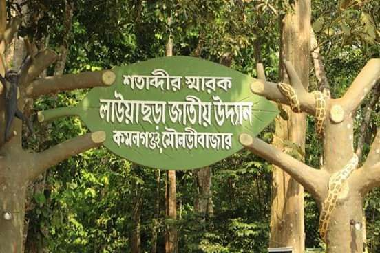 আজ জীববৈচিত্র্য দিবস: সুন্দরবনের পরেই লাউয়াছড়ার!