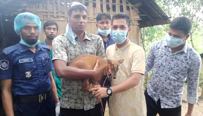 রাঙ্গামাটিতে আটকে রাখা হরিণ শাবক উদ্ধার