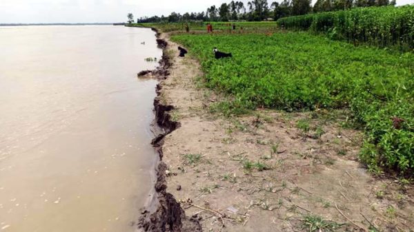 করোনায় আতঙ্ক তিস্তার ভাঙন!
