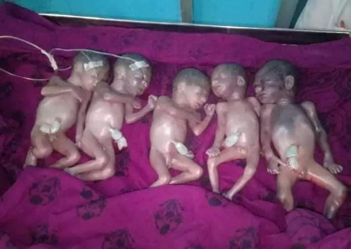 চাঁদপুরে একসঙ্গে জন্ম নেয়া ৫ নবজাতকের মৃত্যু