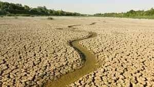 ১১৩ কিলোমিটারের গল্প