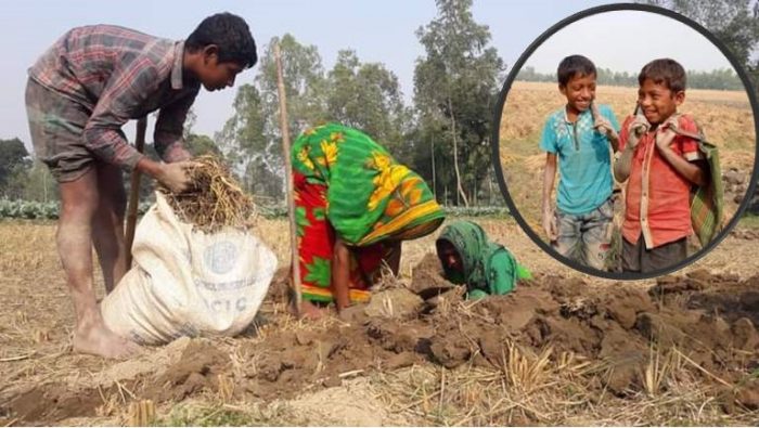 ইঁদুরের