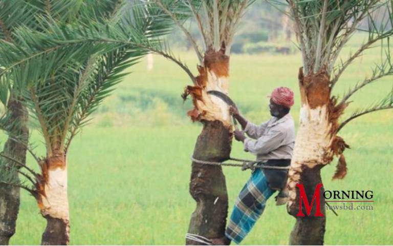 খেজুর রস