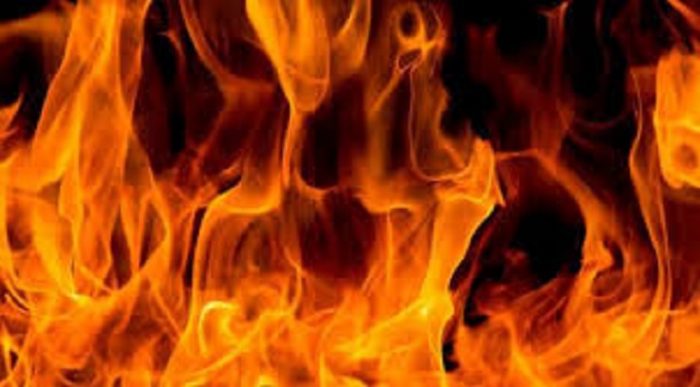 গোয়ালঘরে আগুনে পুড়ে ৭ গরুর মৃত্যু