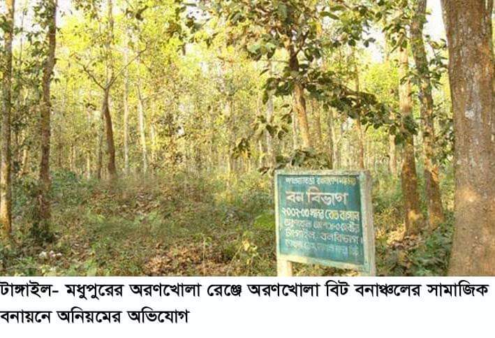 টাঙ্গাইলের মধুপুরে সামাজিক বনায়নে অনিয়মের অভিযোগ