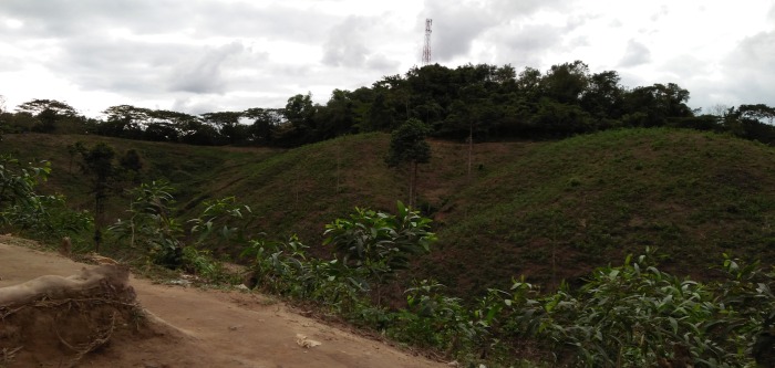 মৃত্তিকা দিবস ও মাটির প্রতি আমাদের ভালোবাসা