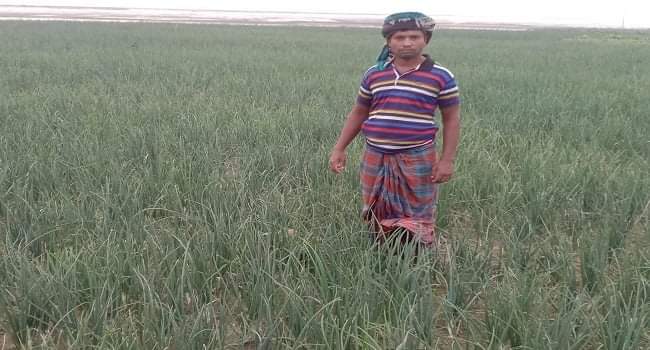 তিস্তার চরে পেঁয়াজের বাম্পার ফলনের স্বপ্ন দেখছে চাষীরা!