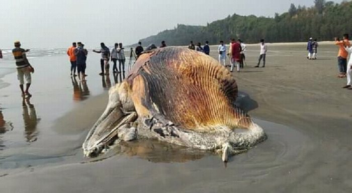 কক্সবাজারে