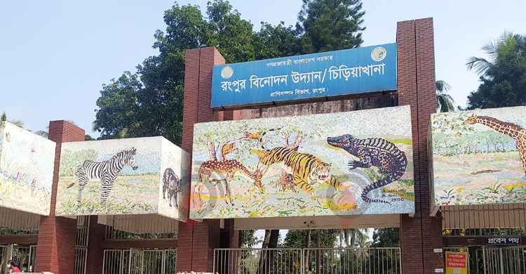 বাঘশূন্য