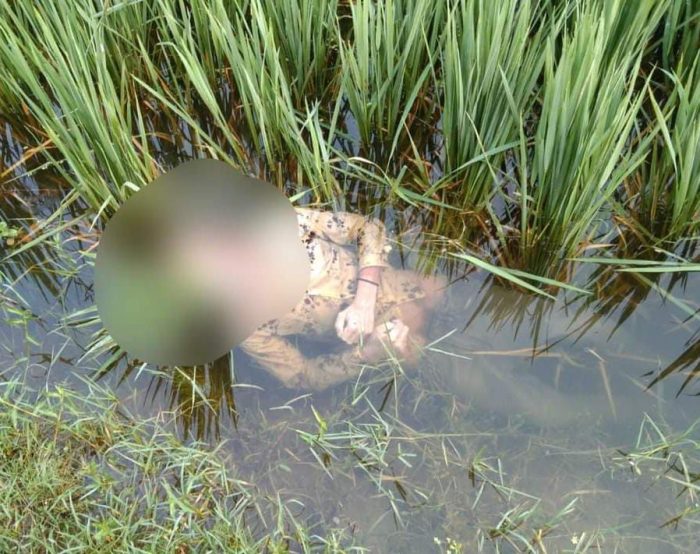 বেনাপোলে কিশোরের গলা কাঁটা মরদেহ উদ্ধার