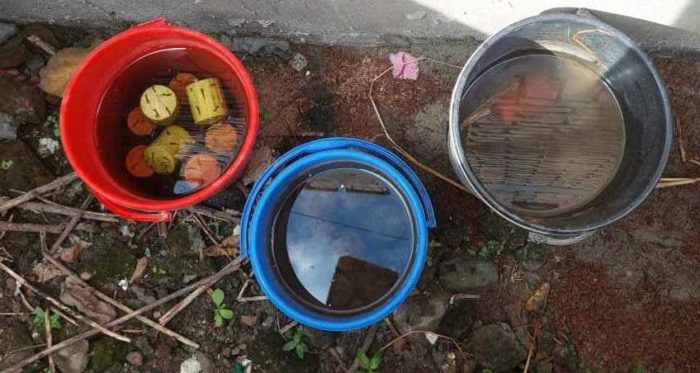 বেনাপোলের বালুন্ডা গ্রাম থেকে ১৬টি ককটেল উদ্ধার