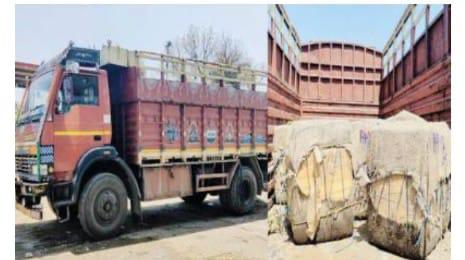 বেনাপোল বন্দরে মাছ, সবজি, কাঁচামাল আমদানির আড়ালে সক্রীয় চোরাচালান সিন্ডিকেট