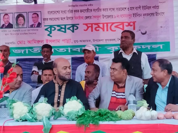 শৈলকূপায় কৃষক সমাবেশ অনুষ্ঠিত।