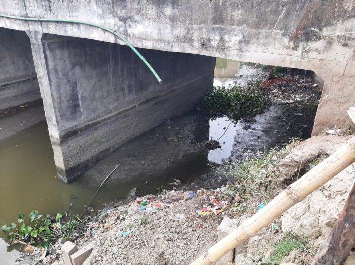 চিতলমারীতে পুনঃখনন করা চিত্রা নদীটি মৃতপ্রায়।