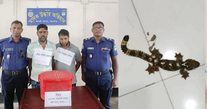 তক্ষক নিয়ে শার্শায়, আটক ২