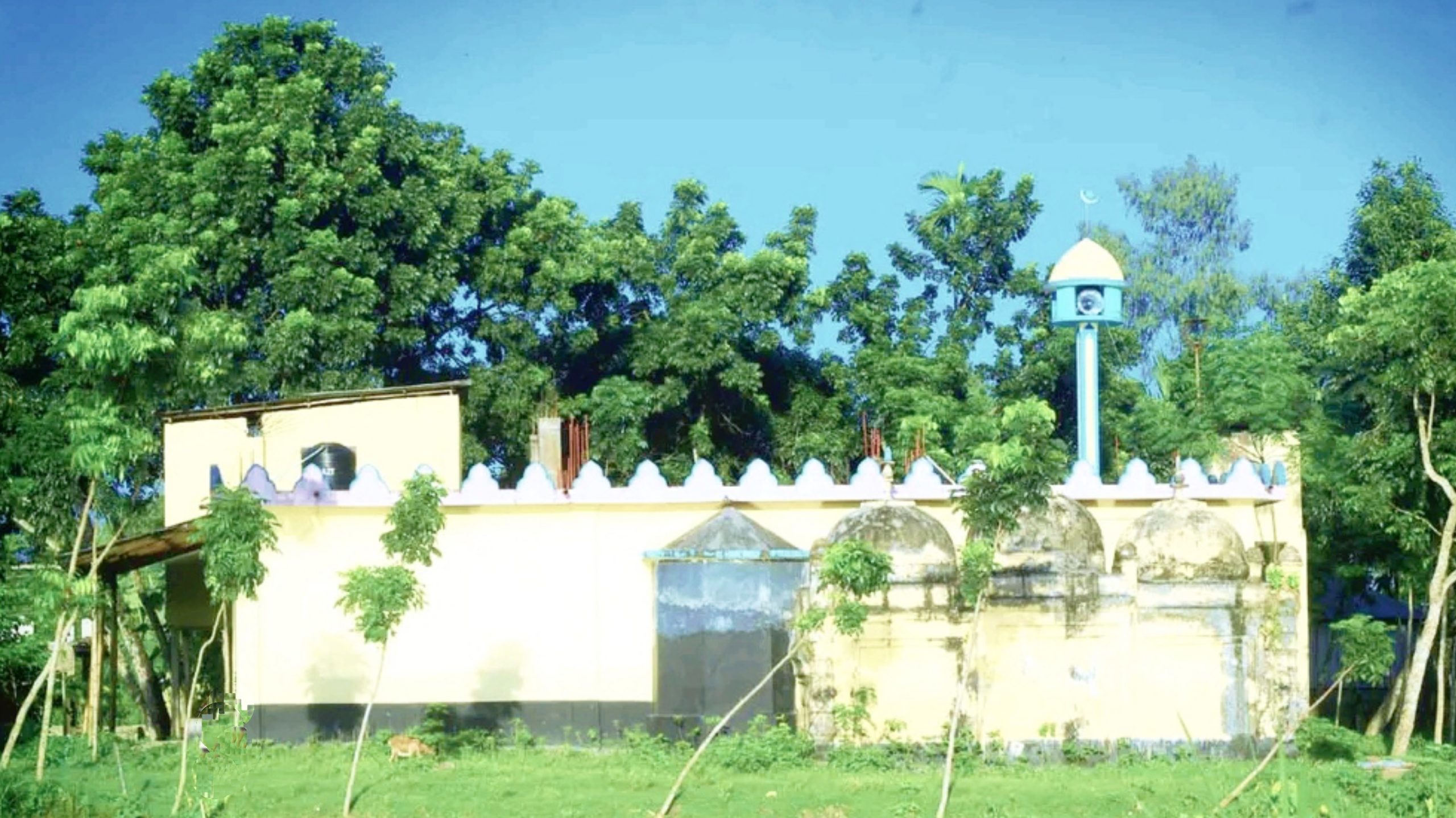 ঐতিহ্যের ধারক শতবর্ষী পাখী মসজিদ: এক অজানা মোঘল নিদর্শন!