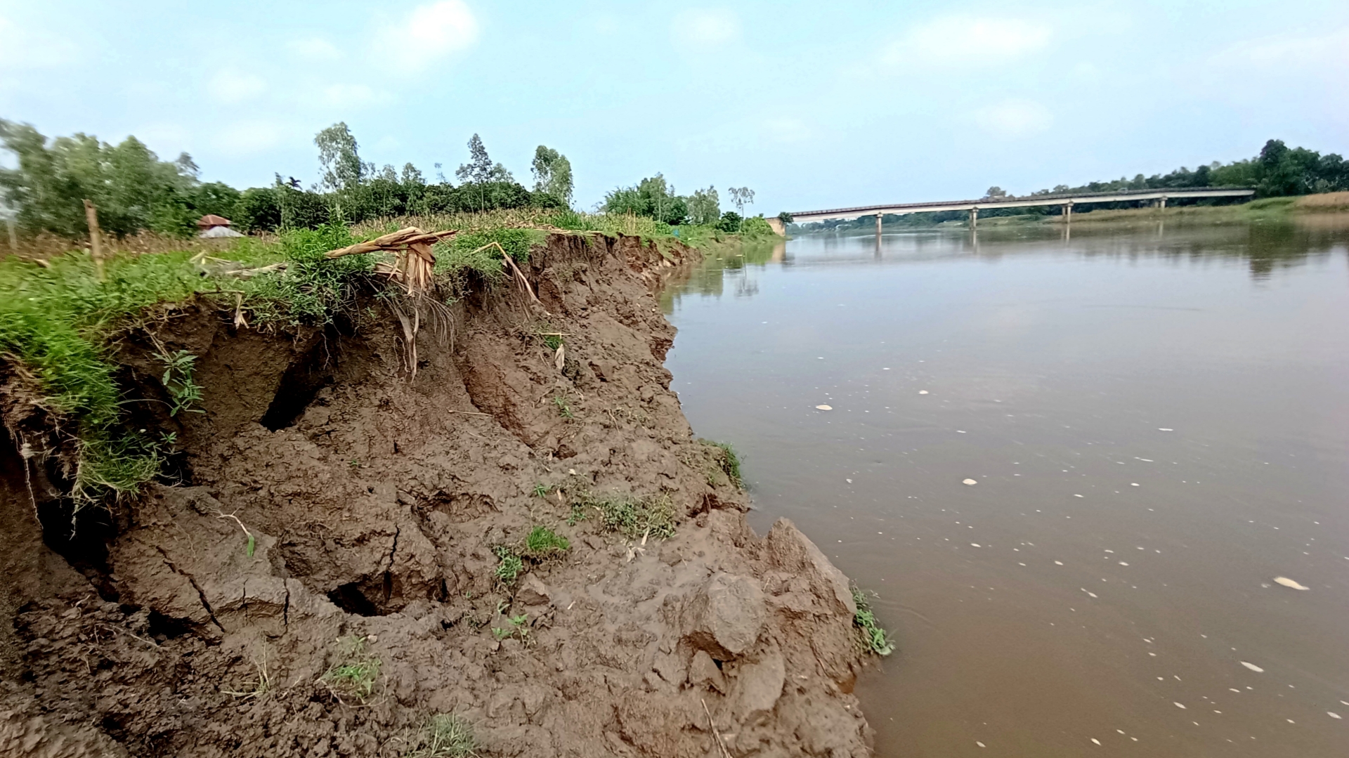 মিঠাপুকুরে নদীর ভাঙনে বিলীন হচ্ছে ফসলি জমি,বসতভিটা : স্থায়ী সমাধানের দাবি!